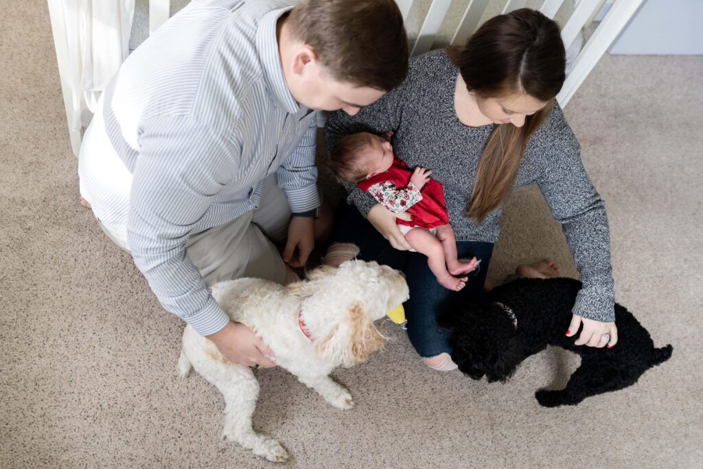 A birds eye view of a new family as they spend time together