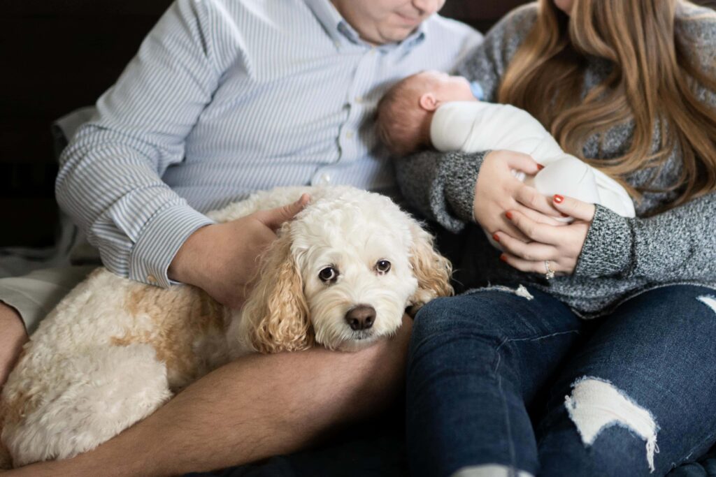 A dog lying by it's new baby sibling