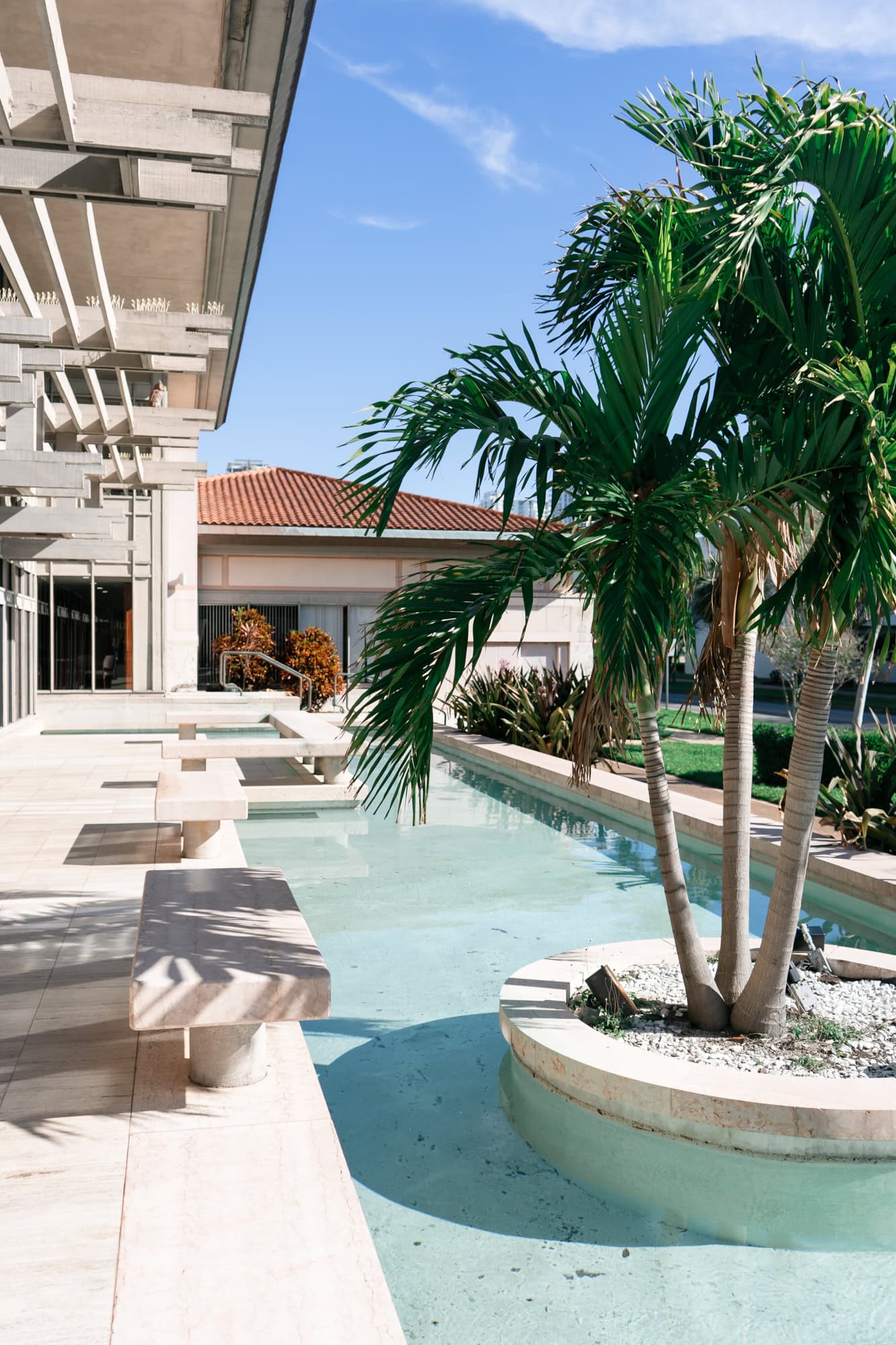An outdoor tropical oasis at the Poynter Institute