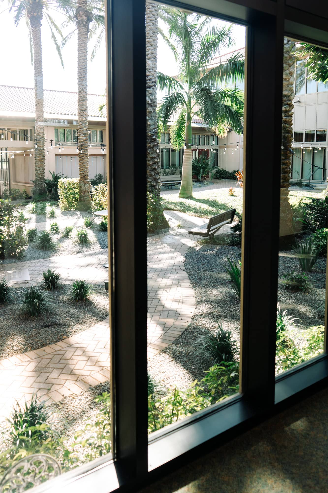 Seeing the courtyard from inside at the Poynter Institute