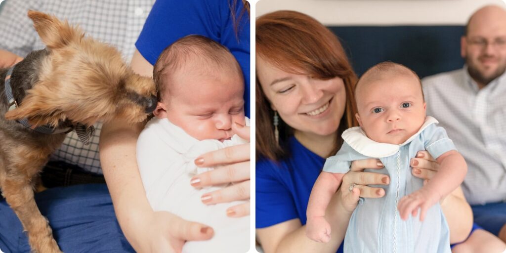 Small dog sniffing newborn baby held by mom, family dog included in in-home newborn session — St. Pete newborn photographer